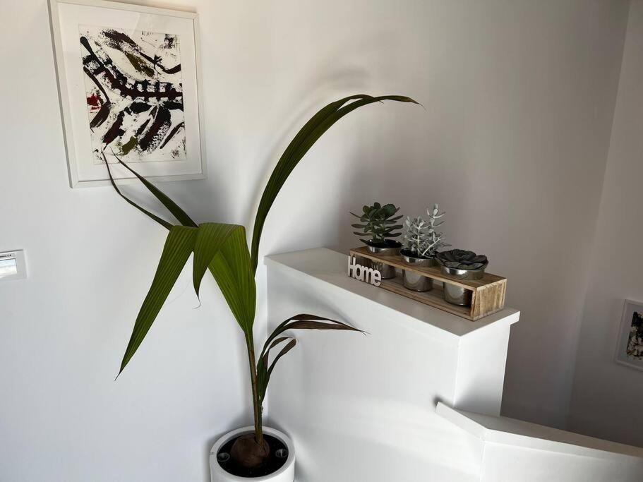 2B-Precioso Apartamento En Pleno Centro. A Estreno Alcazar de San Juan Kültér fotó